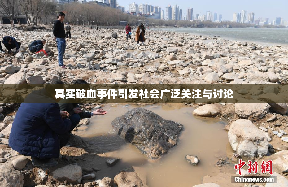 真实破血事件引发社会广泛关注与讨论