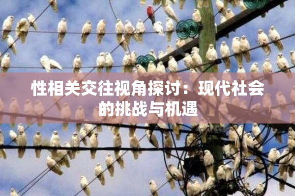 性相关交往视角探讨：现代社会的挑战与机遇