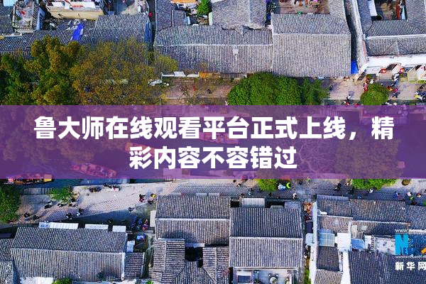 鲁大师在线观看平台正式上线，精彩内容不容错过