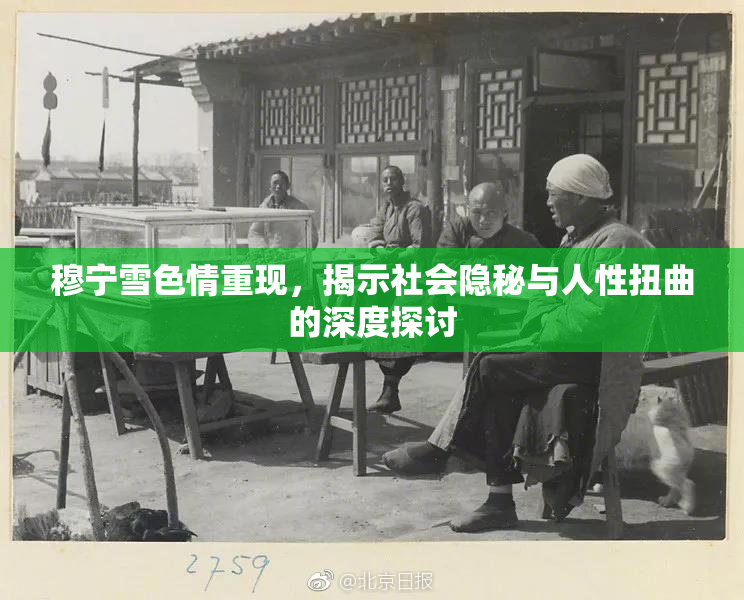 穆宁雪色情重现，揭示社会隐秘与人性扭曲的深度探讨