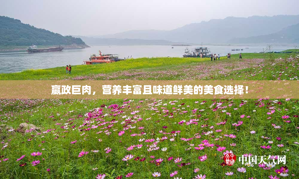 嬴政巨肉，营养丰富且味道鲜美的美食选择！