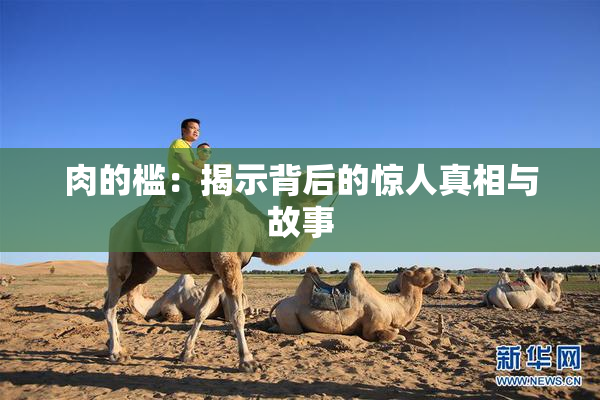 肉的槛：揭示背后的惊人真相与故事