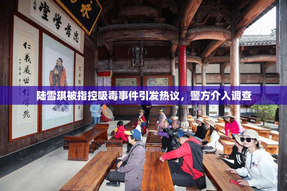 陆雪琪被指控吸毒事件引发热议，警方介入调查