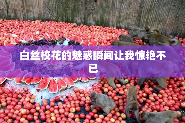 白丝校花的魅惑瞬间让我惊艳不已
