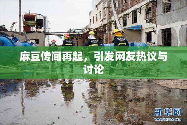 麻豆传闻再起，引发网友热议与讨论