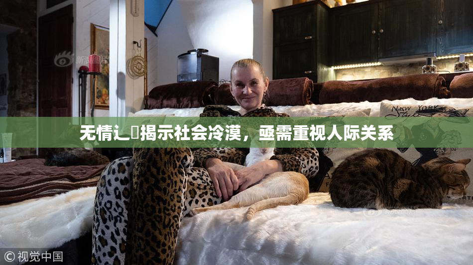 无情辶喿揭示社会冷漠，亟需重视人际关系