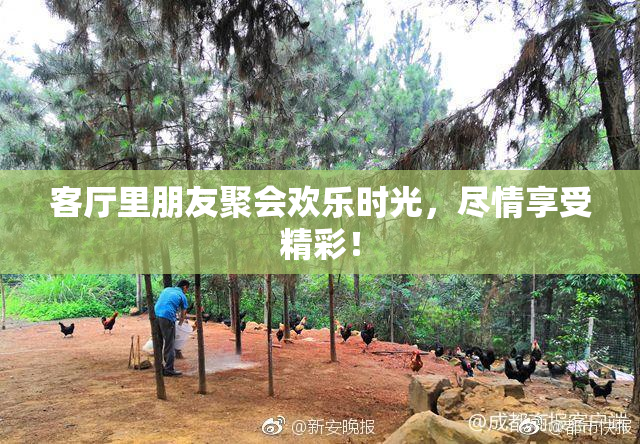 客厅里朋友聚会欢乐时光，尽情享受精彩！