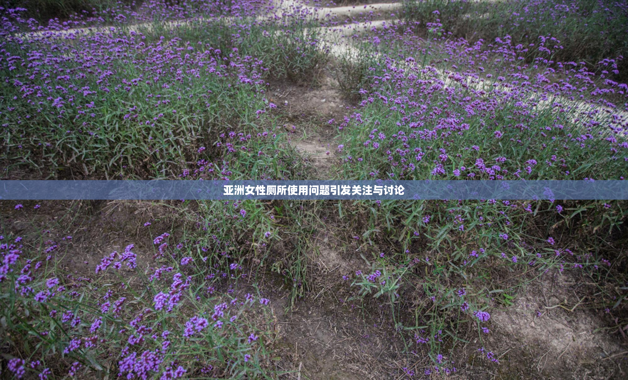 亚洲女性厕所使用问题引发关注与讨论