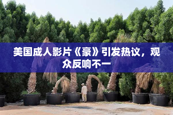 美国成人影片《豪》引发热议，观众反响不一