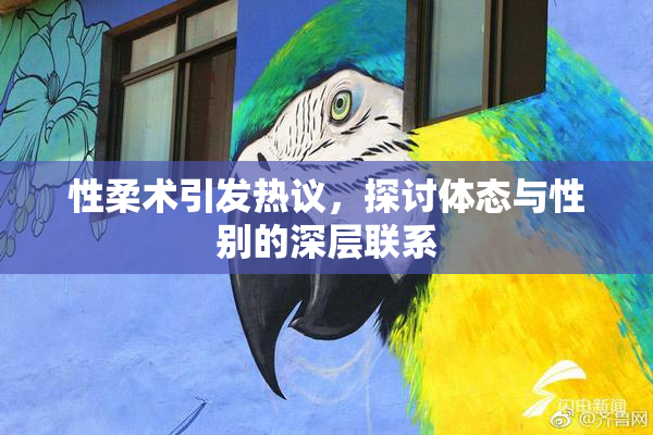 性柔术引发热议，探讨体态与性别的深层联系