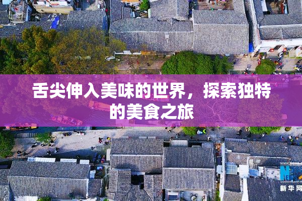 舌尖伸入美味的世界，探索独特的美食之旅