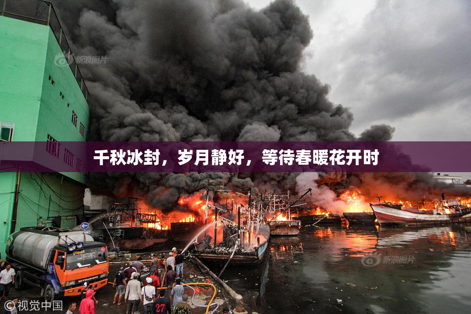 千秋冰封，岁月静好，等待春暖花开时
