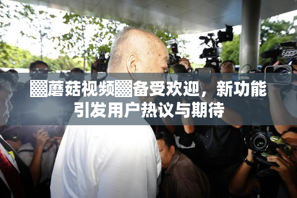 ▓蘑菇视频▓备受欢迎，新功能引发用户热议与期待