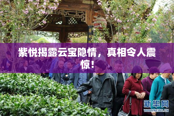 紫悦揭露云宝隐情，真相令人震惊！
