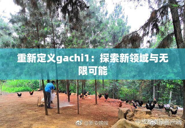 重新定义gachi1：探索新领域与无限可能