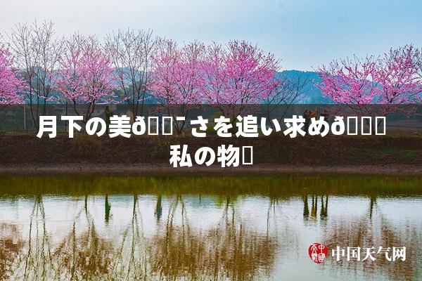 月下の美🔯さを追い求め🌃私の物語