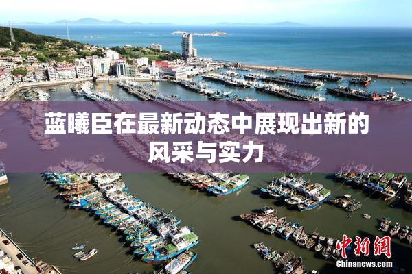 蓝曦臣在最新动态中展现出新的风采与实力