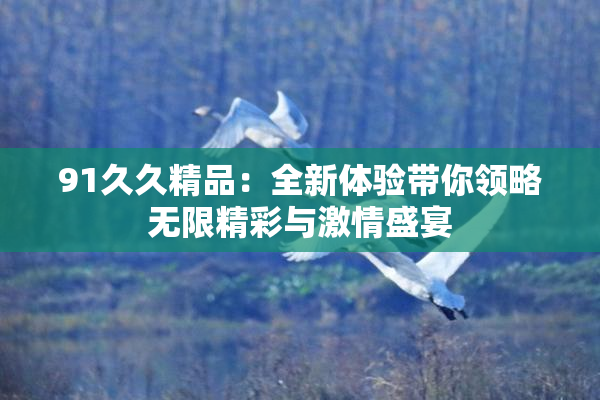 91久久精品：全新体验带你领略无限精彩与激情盛宴