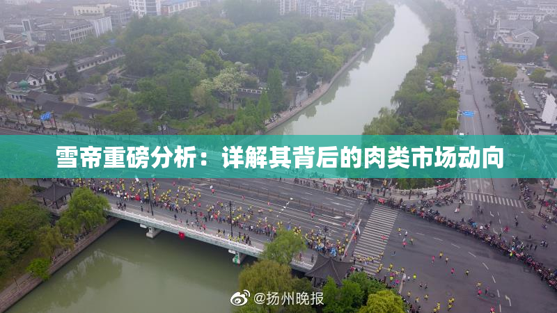 雪帝重磅分析：详解其背后的肉类市场动向