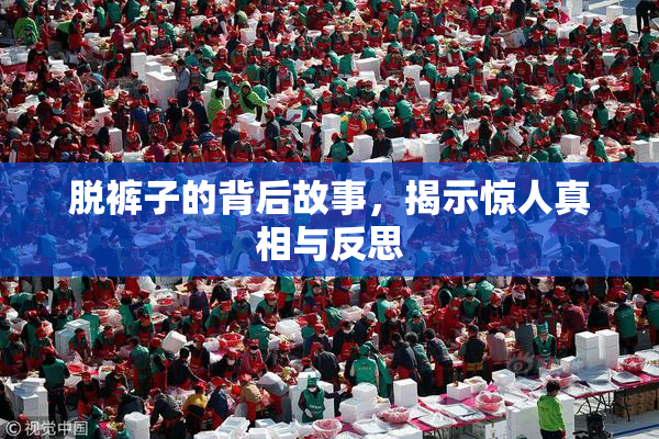 脱裤子的背后故事，揭示惊人真相与反思