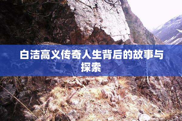 白洁高义传奇人生背后的故事与探索