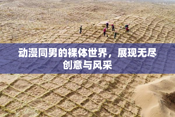 动漫同男的裸体世界，展现无尽创意与风采