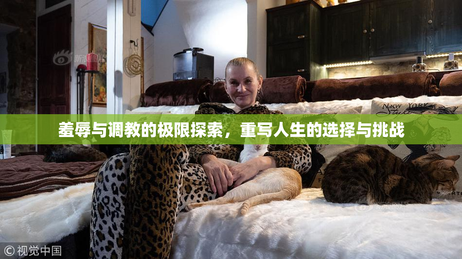 羞辱与调教的极限探索，重写人生的选择与挑战
