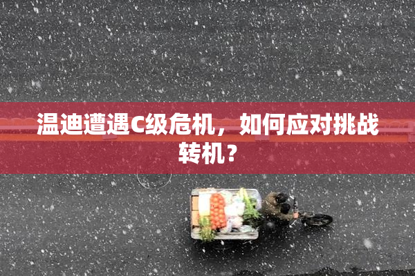 温迪遭遇C级危机，如何应对挑战转机？
