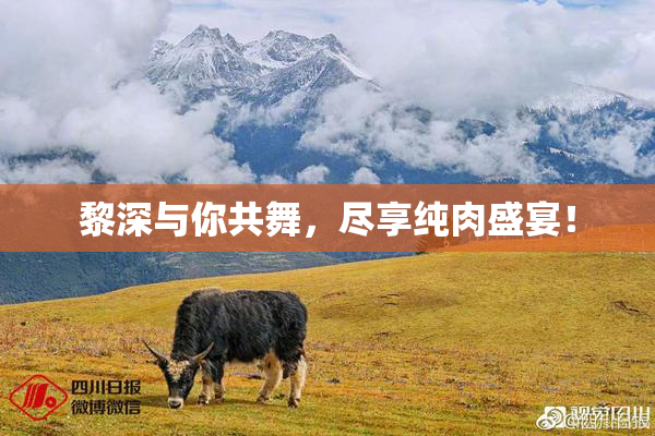 黎深与你共舞，尽享纯肉盛宴！
