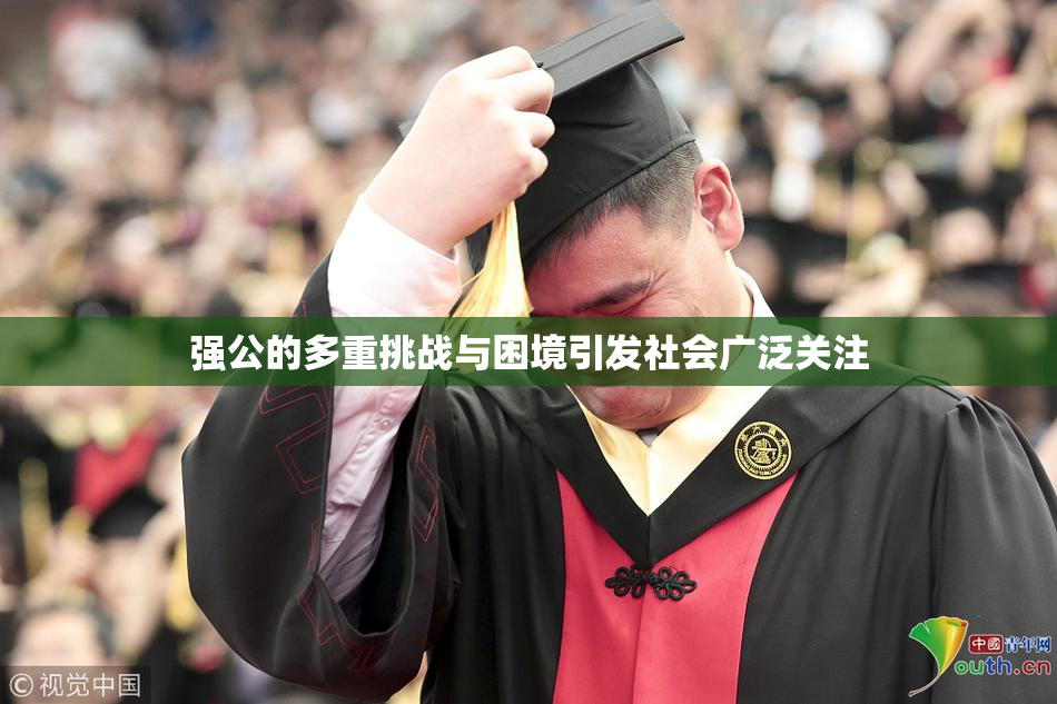 强公的多重挑战与困境引发社会广泛关注