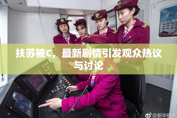 扶苏被C，最新剧情引发观众热议与讨论