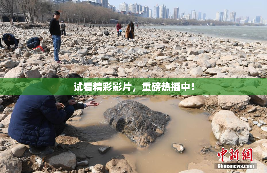 试看精彩影片，重磅热播中！