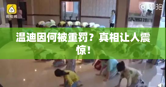 温迪因何被重罚？真相让人震惊！