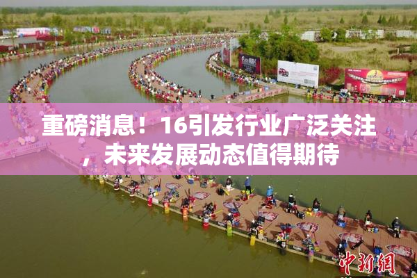 重磅消息！16引发行业广泛关注，未来发展动态值得期待
