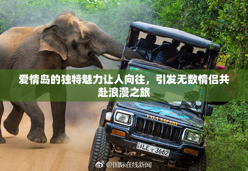 爱情岛的独特魅力让人向往，引发无数情侣共赴浪漫之旅