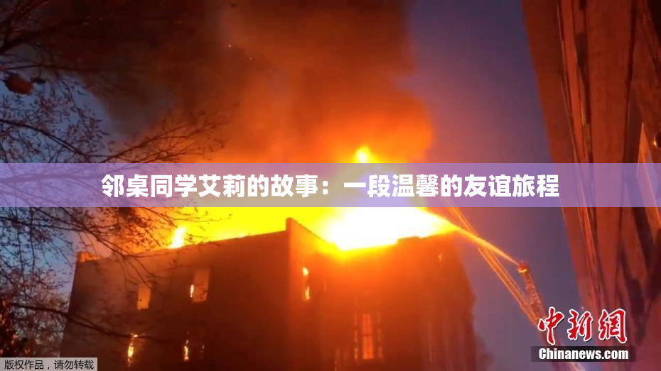 邻桌同学艾莉的故事：一段温馨的友谊旅程