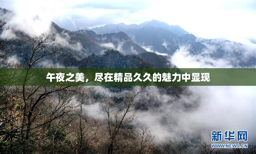 午夜之美，尽在精品久久的魅力中显现