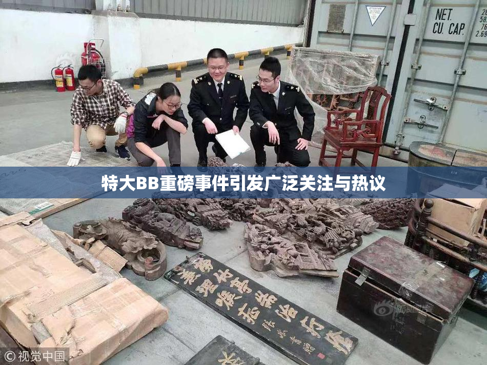 特大BB重磅事件引发广泛关注与热议