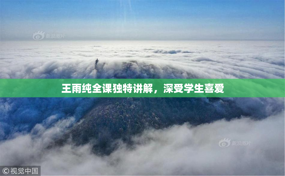 王雨纯全课独特讲解，深受学生喜爱