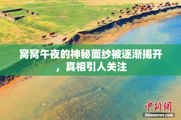窝窝午夜的神秘面纱被逐渐揭开，真相引人关注