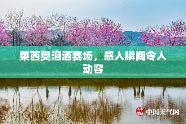 菜西奥泪洒赛场，感人瞬间令人动容