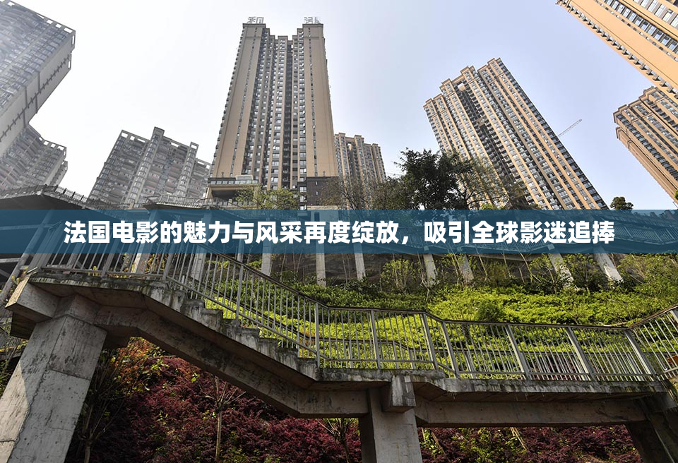 法国电影的魅力与风采再度绽放，吸引全球影迷追捧