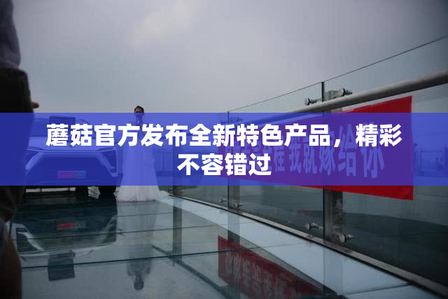 蘑菇官方发布全新特色产品，精彩不容错过