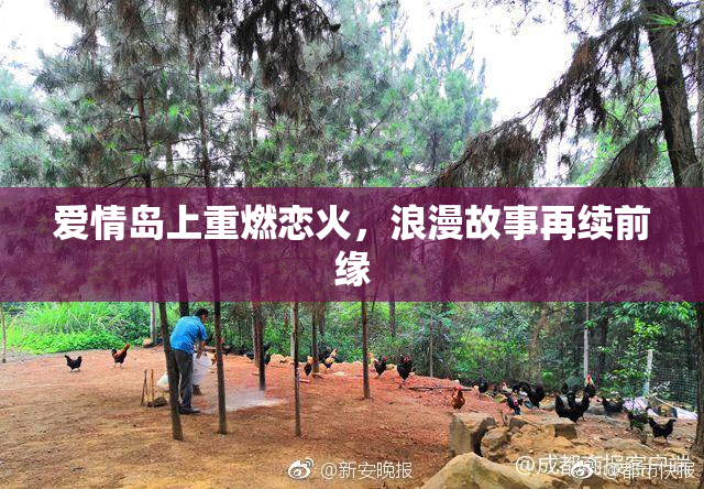 爱情岛上重燃恋火，浪漫故事再续前缘