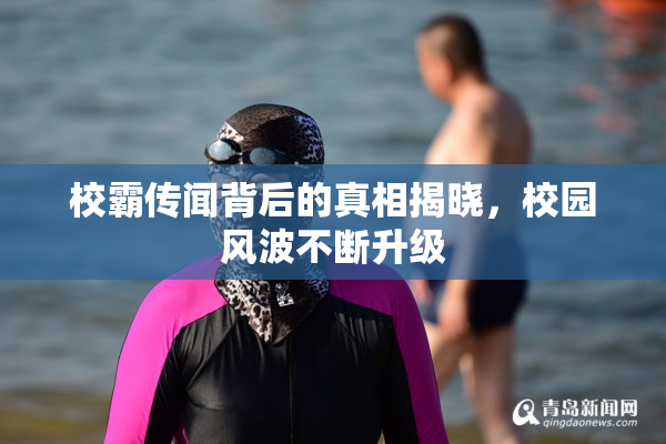 校霸传闻背后的真相揭晓，校园风波不断升级