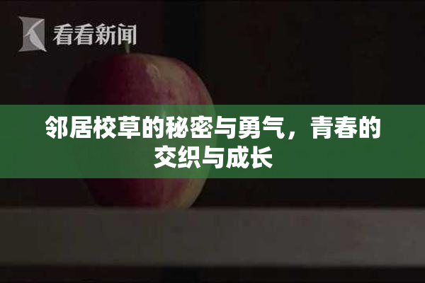 邻居校草的秘密与勇气，青春的交织与成长