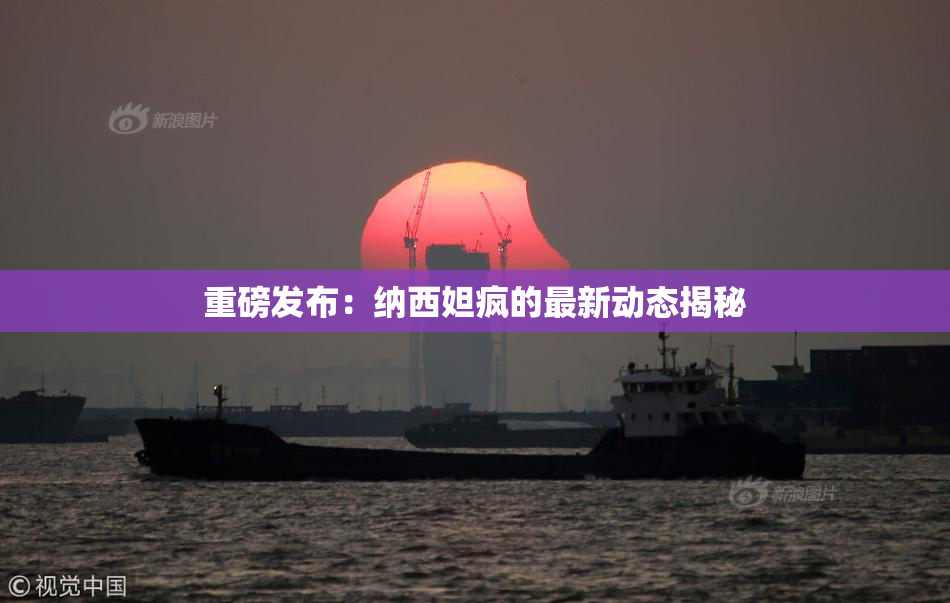 重磅发布：纳西妲疯的最新动态揭秘