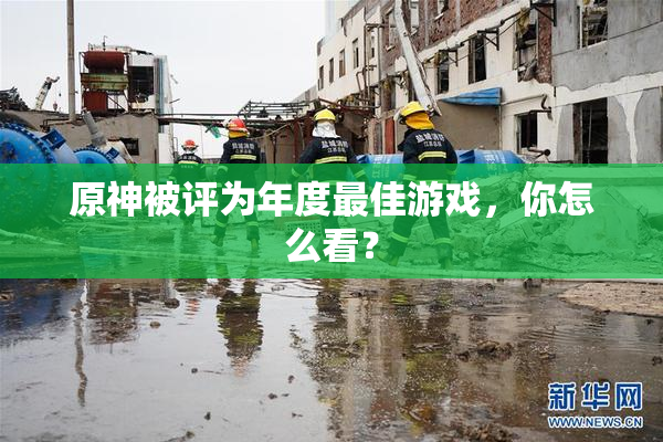 原神被评为年度最佳游戏，你怎么看？
