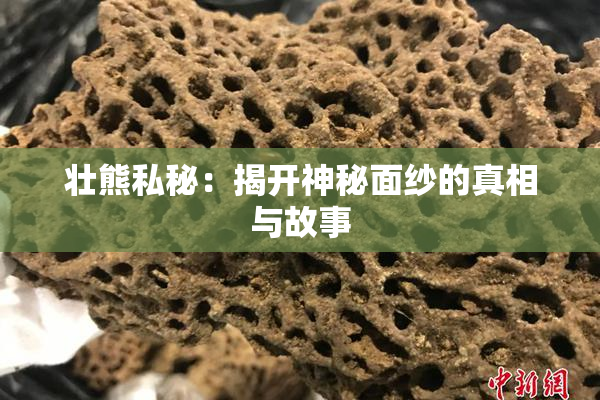 壮熊私秘：揭开神秘面纱的真相与故事