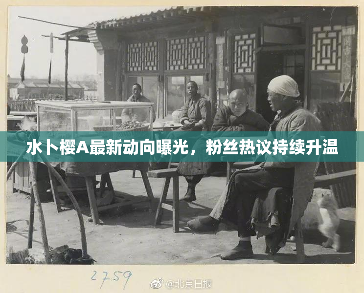 水卜樱A最新动向曝光，粉丝热议持续升温